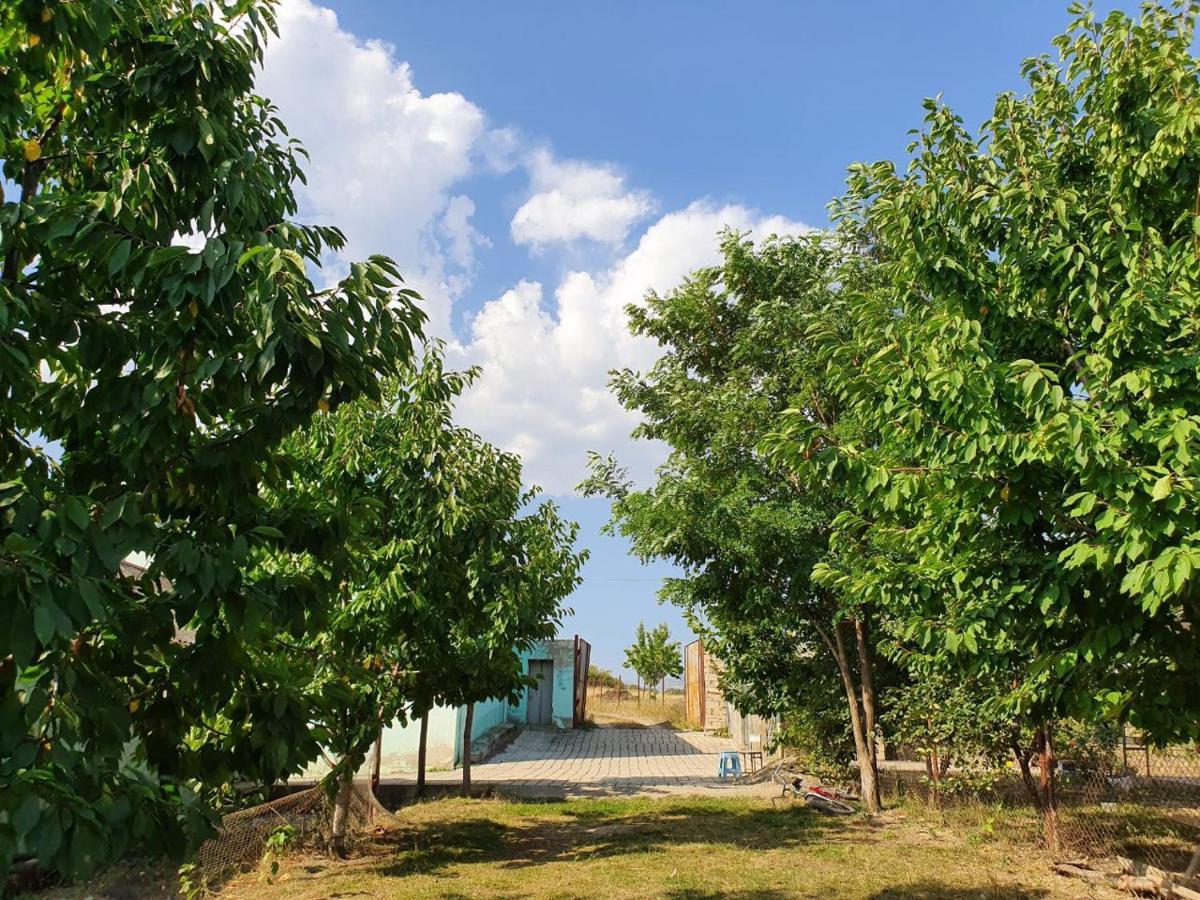 فيلا La Casa De Habel قوبا المظهر الخارجي الصورة